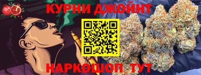 скорость Новозыбков