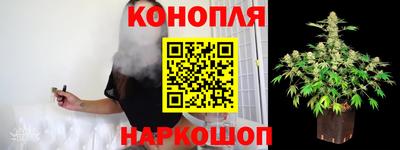 скорость Новозыбков
