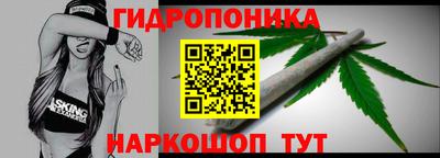 скорость Новозыбков