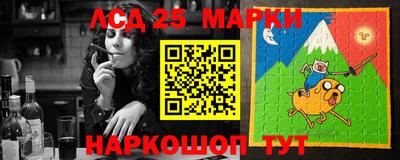 скорость Новозыбков